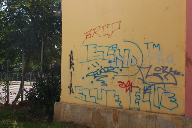 cuvinte imagini obscene injuraturi mesajele elevilor postate pe peretii scolilor constantene galerie