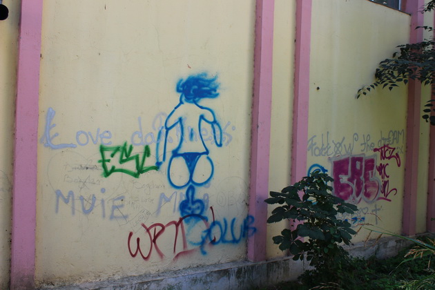 cuvinte imagini obscene injuraturi mesajele elevilor postate pe peretii scolilor constantene galerie