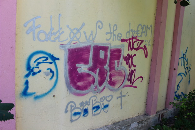 cuvinte imagini obscene injuraturi mesajele elevilor postate pe peretii scolilor constantene galerie