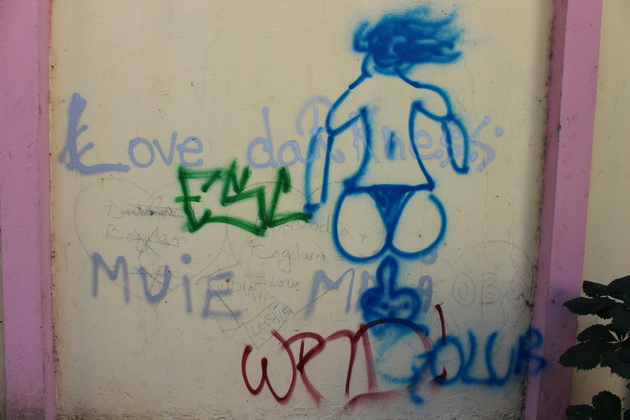 cuvinte imagini obscene injuraturi mesajele elevilor postate pe peretii scolilor constantene galerie