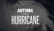 Melodia zilei Antonia feat. Puya - Hurricane