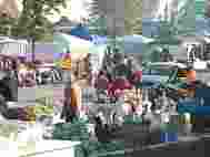 Litoral Tv Finalul săptămânii aduce, la Năvodari, „Zilele Recoltei”