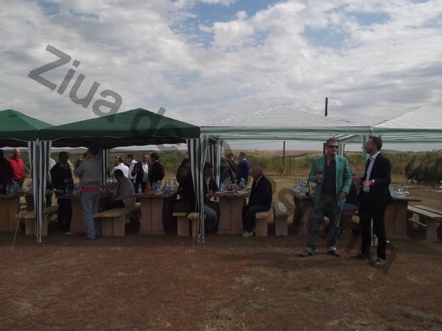 winero celebrated the harvest of 2013 alira wines appreciated by ambassadors and royalty photo gallery