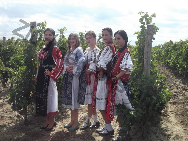 winero celebrated the harvest of 2013 alira wines appreciated by ambassadors and royalty photo gallery
