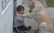 REALITATEA.NET Cea mai iubitoare căţeluşă din lume. Gestul care-l face pe un copil cu sindrom Down s-o îmbrăţişeze (video)