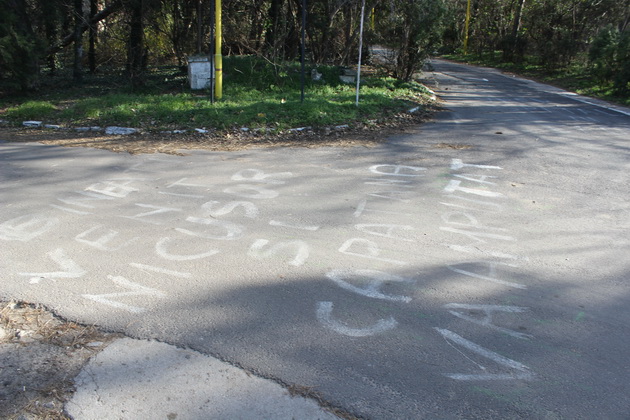 pacientii deplang lichidarea sotrm mesaje scrise cu vopsea pe aleile spitalului pentru nicusor constantinescu