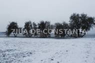 Fotoreportaj Spectacol hibernal la Constanța 