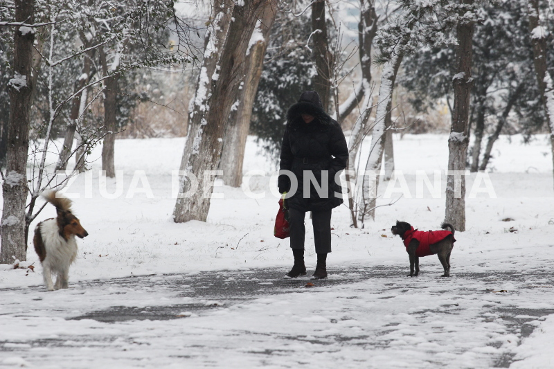 fotoreportaj spectacol hibernal la constanta 479416