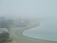 UPDATE Cod Galben în Dobrogea    