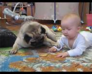 Un copil adorabil nu vrea să cedeze biscuitele cățelului. Trebuie să vezi filmulețul (video)