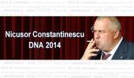 Secțiune Nicusor Constantinescu - DNA 2014