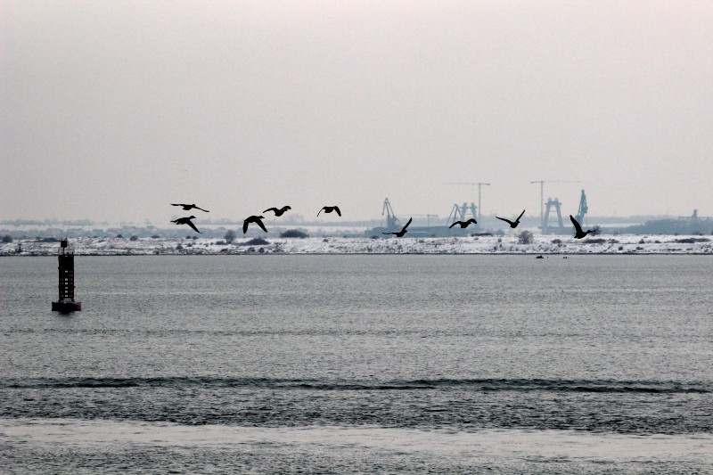 fotoreportaj imagini spectaculoase portul constanta iarna 2014 482993