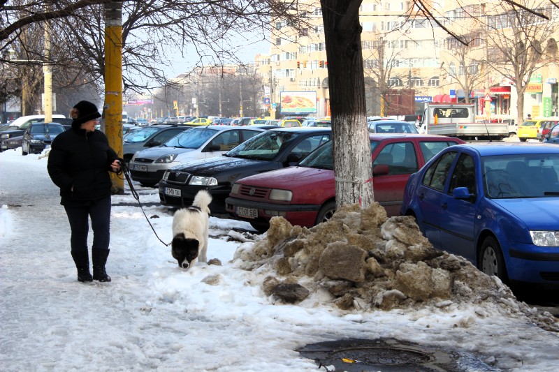 fotoreportaj mizerie si disconfort urmele zapezii la constanta 483842