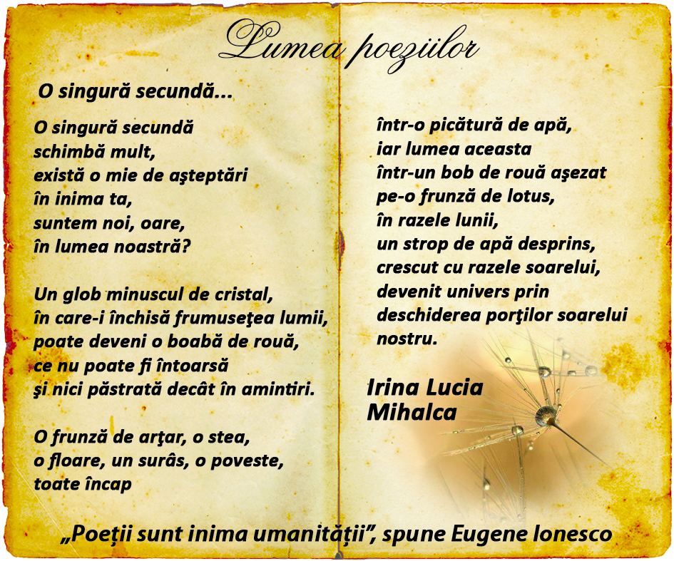 Irina Lucia Mihalca, o singura secunda, poeti, poezii, versuri, lumea poeziilor