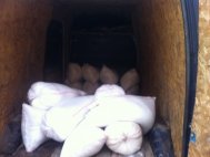 „A început campania de primăvară”,...îngrăşămintele sunt la putere