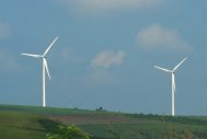 Erste şi BCR creditează un parc eolian din Dobrogea, finanţat şi de BERD