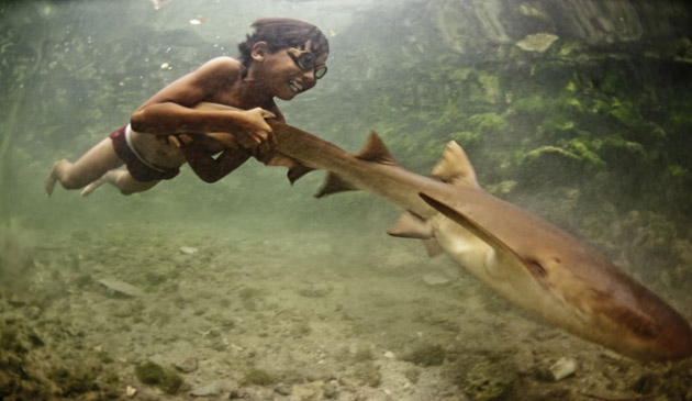 nomazi, ocean, mare, trib, bajau laut