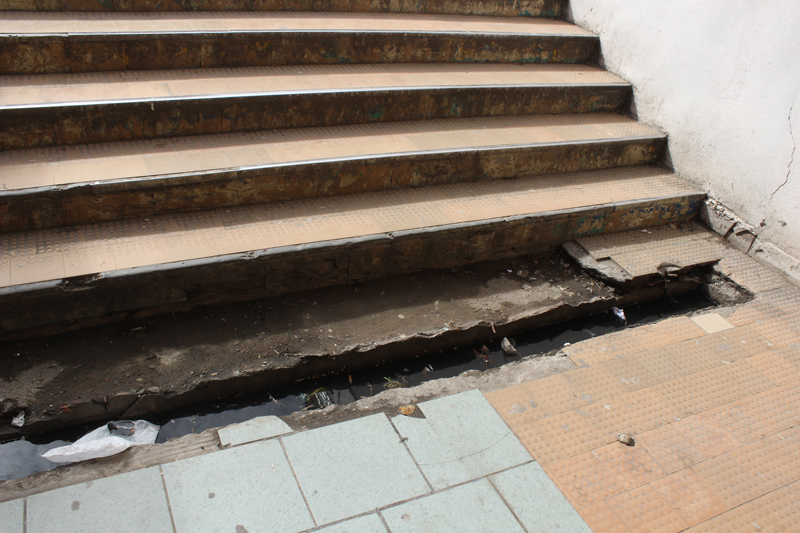 apel pentru curatenie catre autoritatile din constanta viii cine strange mizeria din pasajul de la tomis