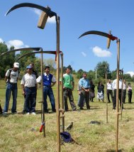 Zilierii şi cei care obţin venituri din chirii se pot asigura în sistemul de şomaj