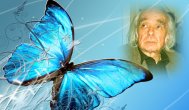 Lumea poeziilor Emil Brumaru - Fluturii din pandișpan