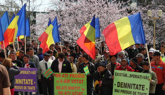 protest vrabie, liberali, consiliul judetean, pestera