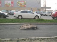 Dorel de la Constanţa O buturugă a fost uitată în mijlocul trotuarului proaspăt asfaltat din faţă de la Kaufland (galerie foto)    
