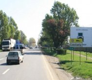 A intrat în coliziune cu un copac, pe DN3, la intrarea dinspre Valu lui Traian 