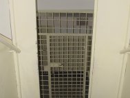 Percheziţii domiciliare la Cobadin Doi bărbaţi arestaţi pentru furtul unor cai în valoare de 48000 de euro 