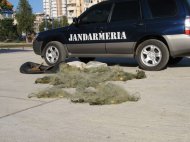 Aproximativ patru kilometri de plase monofilament confiscate în apropiere de Năvodari