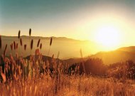 Meteo Ne aşteaptă două luni cu temperaturi tropicale