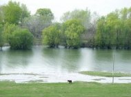 Dobrogea sub cod portocaliu Ce inundaţii a produs Dunărea în judeţul Constanţa