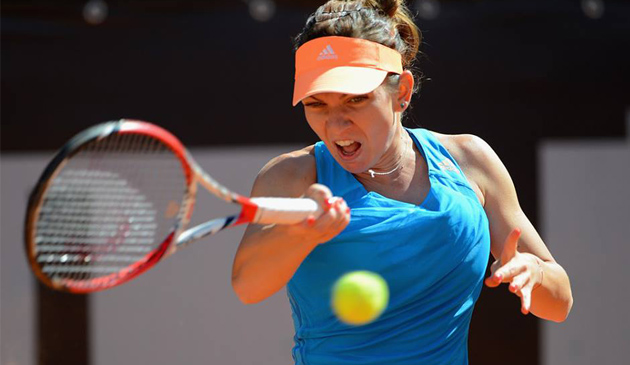 simona halep, roland garros, kleybanova, constanta, slem