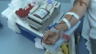 Litoral Tv Ziua Internaţională a Donatorului de Sânge