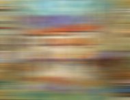 Pictura zilei „Morning rain” de Debra Hurd 