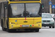 accident autobuz ratca constanta