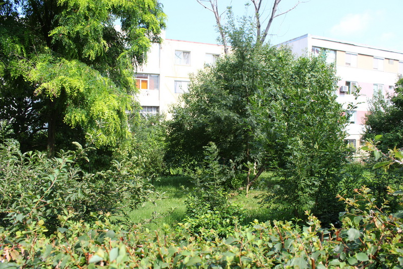 peste 3 000 de oameni impotriva strategiei urbanistice a lui mazare constantenii ies in strada pentru