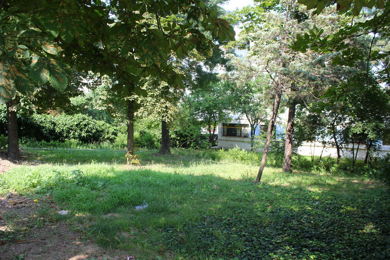 peste 3 000 de oameni impotriva strategiei urbanistice a lui mazare constantenii ies in strada pentru