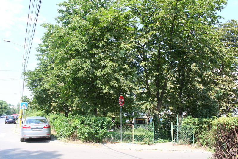 peste 3 000 de oameni impotriva strategiei urbanistice a lui mazare constantenii ies in strada pentru