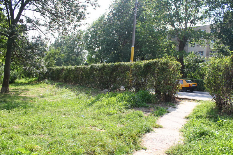 peste 3 000 de oameni impotriva strategiei urbanistice a lui mazare constantenii ies in strada pentru