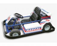 Au ajuns în atenţia oamenilor legii Cinci minori au furat mai multe carturi din Parcul Tăbăcărie  