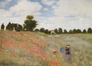Pictura zilei „Maci sălbatici” de Claude Monet