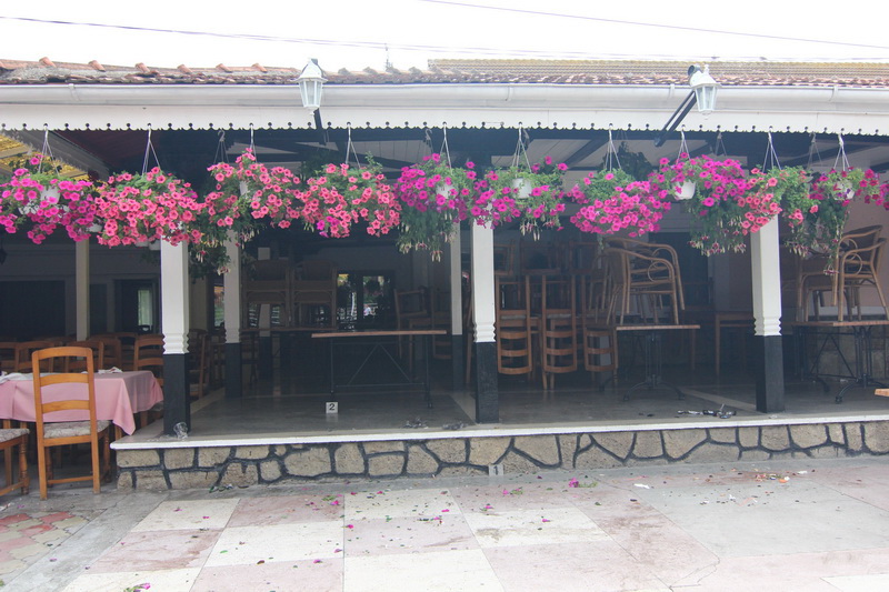 presupusul agresor de la casa dobrogeana ramas in libertate alexandru lazarescu cercetat sub control presupusul agresor de la casa dobrogeana ramas in libertate alexandru lazarescu cercetat sub control