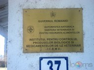 ANSVSA are un nou vicepreședinte. Funcția a fost preluată de Csutak Nagy Laszlo