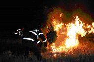UPDATE - Un incendiu a izbucnit în apropiere de Hârșova Ard opt hectare de vegetație uscată  