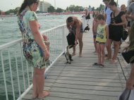 S-a blocat circulaţia Cine a fost vedeta de pe Pasarela din Mamaia (galerie foto)