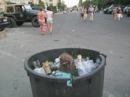 Unde-s palmierii din Mamaia? I-au distrus vrăjmaşii, Măria Ta (galerie foto)