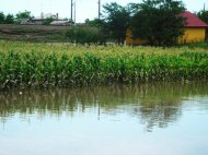 Avertizare de inundații pe râurile mici din județele Constanța și Tulcea!  