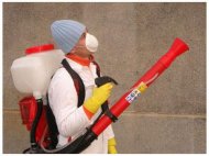 Începe operaţiunea de deratizare în Medgidia