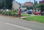 Mazăre ia lecţii de karate pentru carnaval  