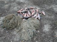 Un bărbat din Tulcea, cercetat penal pentru braconaj piscicol